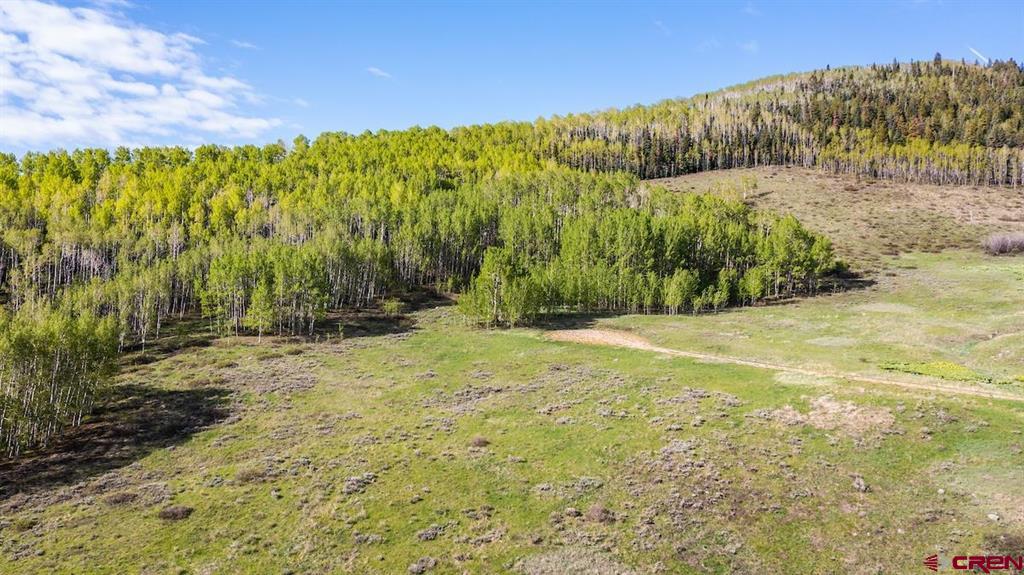 719 Red Mountain Ranch Road Property Photo 5
