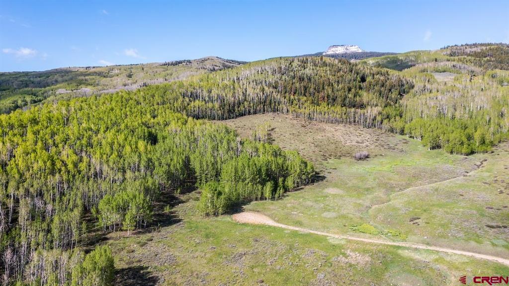 719 Red Mountain Ranch Road Property Photo 6