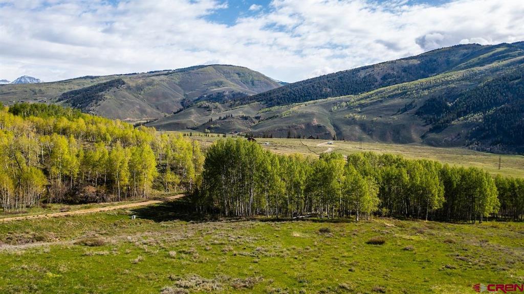 719 Red Mountain Ranch Road Property Photo 8