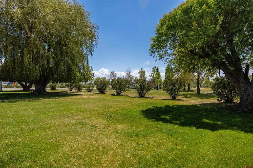 64372 Jig Road Property Photo 43