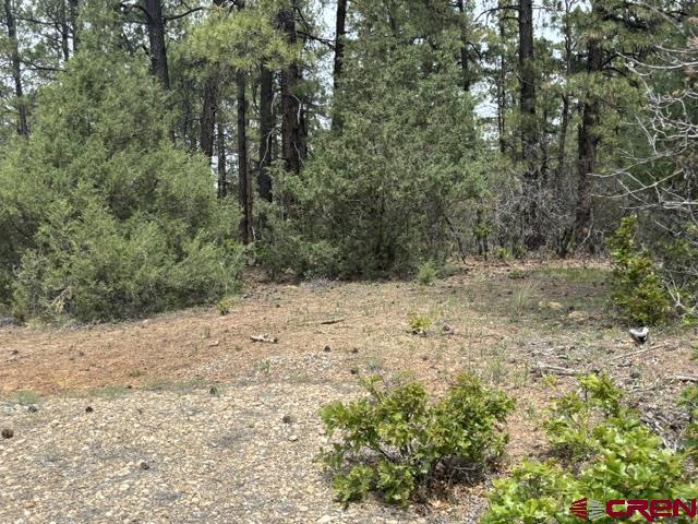 697 & 669 Crooked Road Property Photo 30
