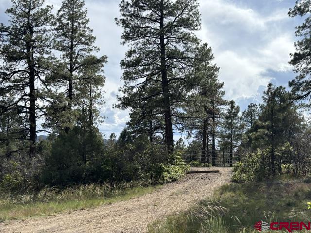 697 & 669 Crooked Road Property Photo 32