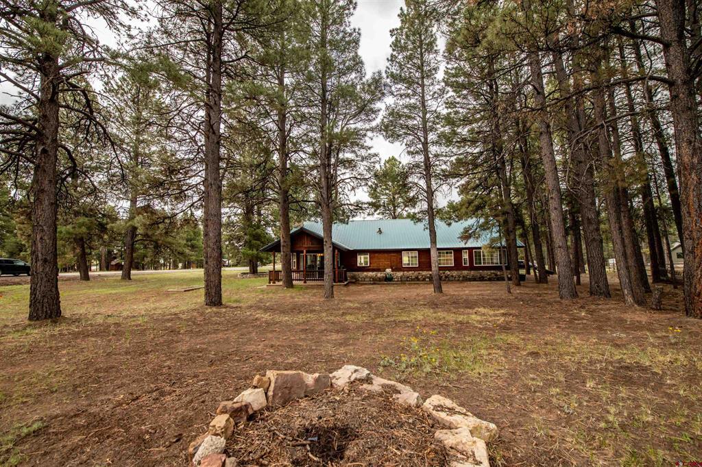 47 Antelope Avenue Property Photo 35
