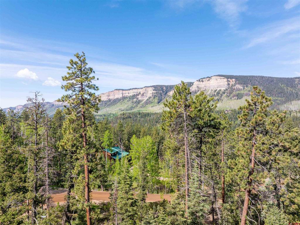 1950 Lake Purgatory Drive Property Photo 10