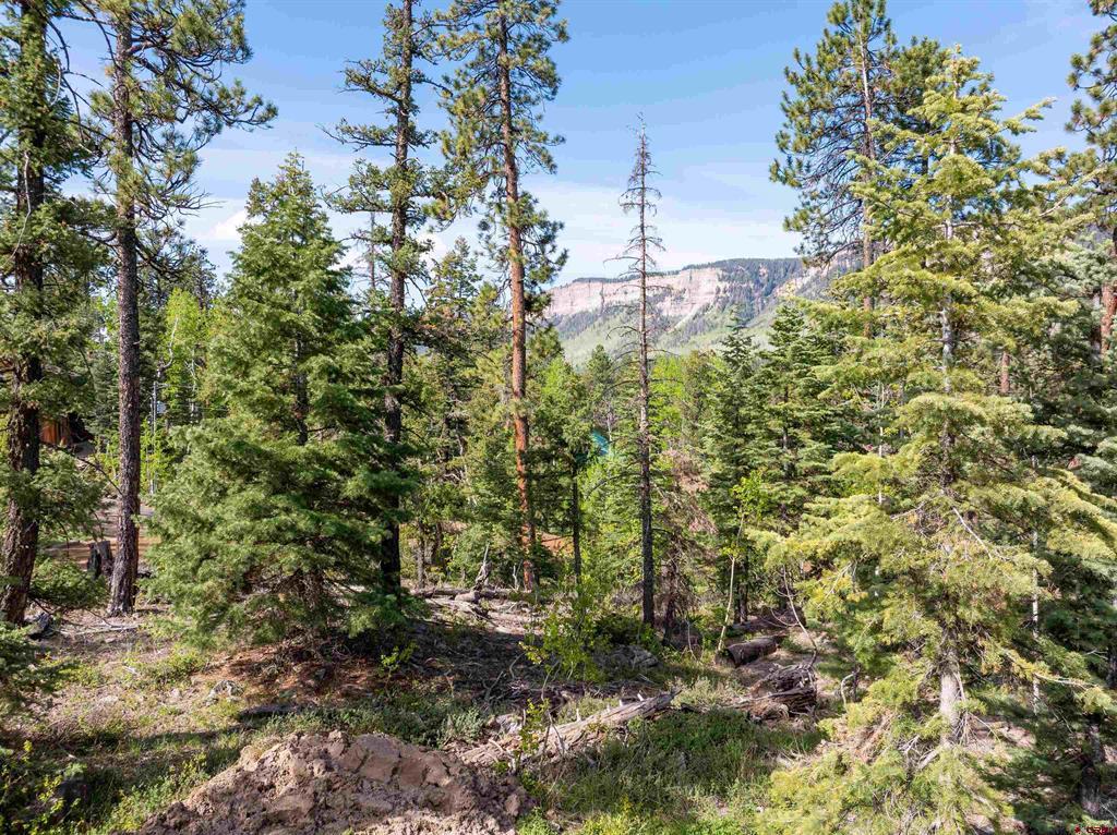1950 Lake Purgatory Drive Property Photo 16