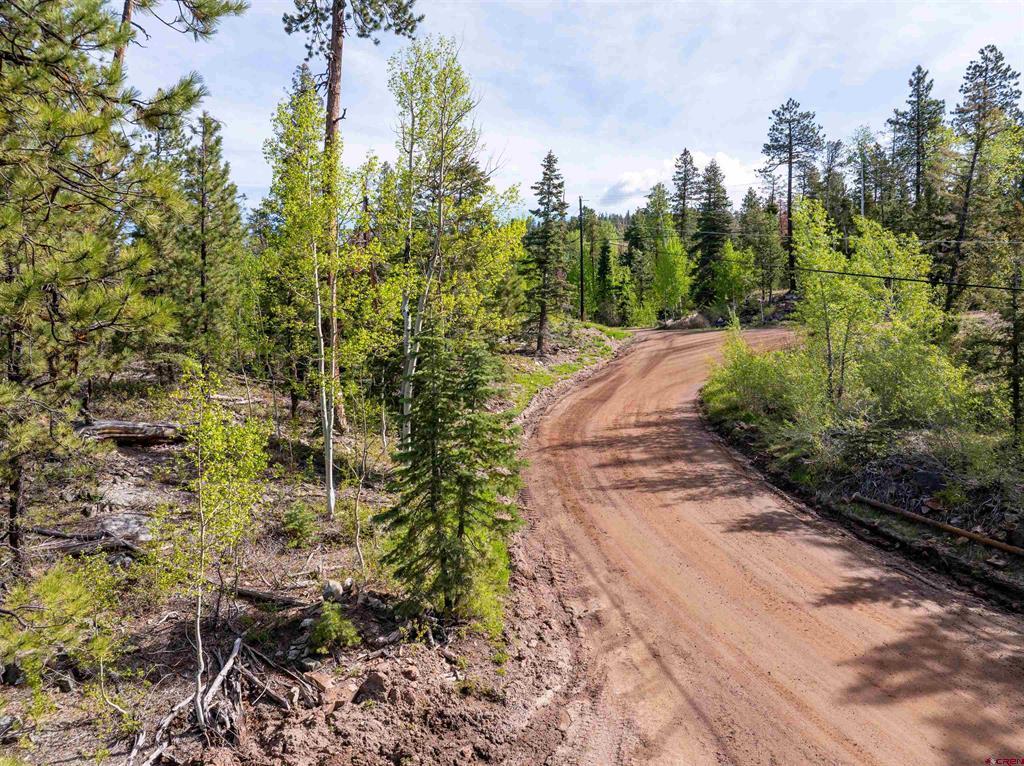 1950 Lake Purgatory Drive Property Photo 17