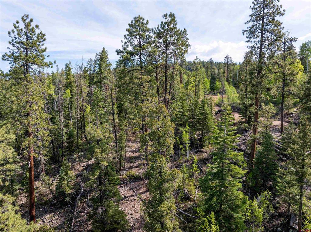 1950 Lake Purgatory Drive Property Photo 19
