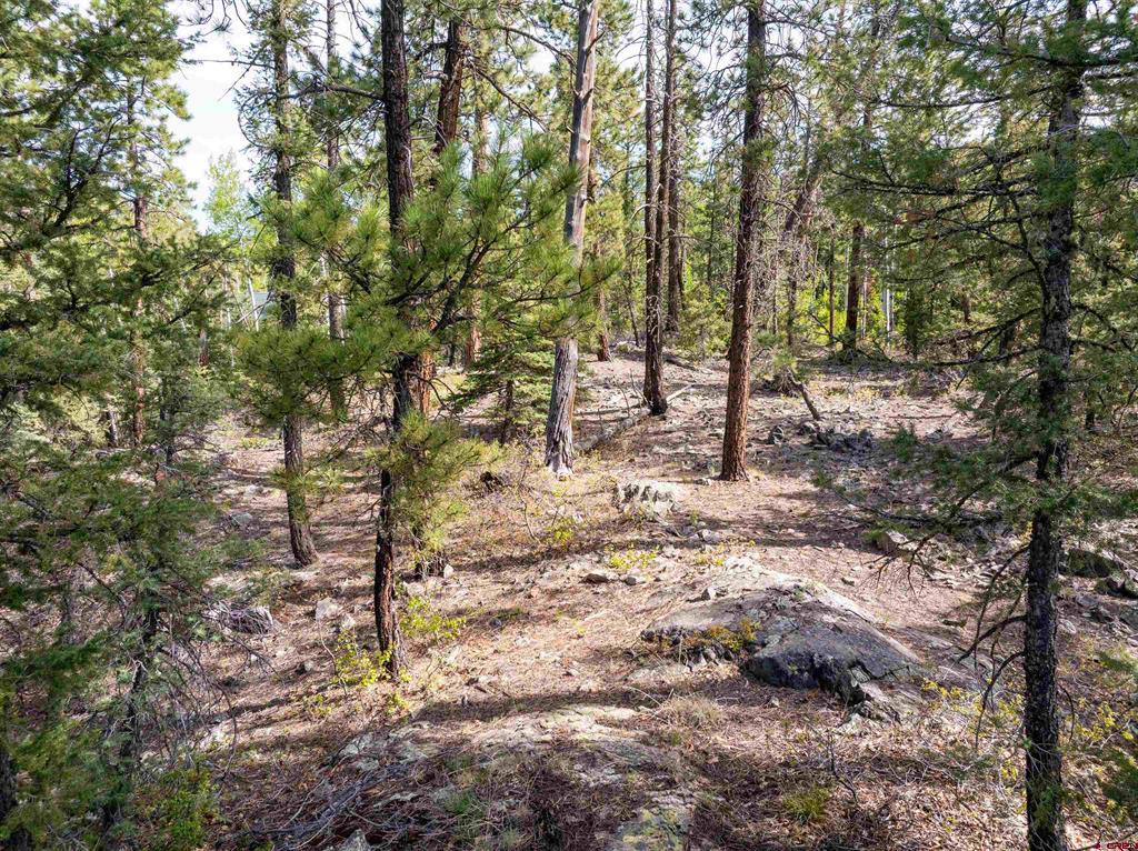1950 Lake Purgatory Drive Property Photo 23