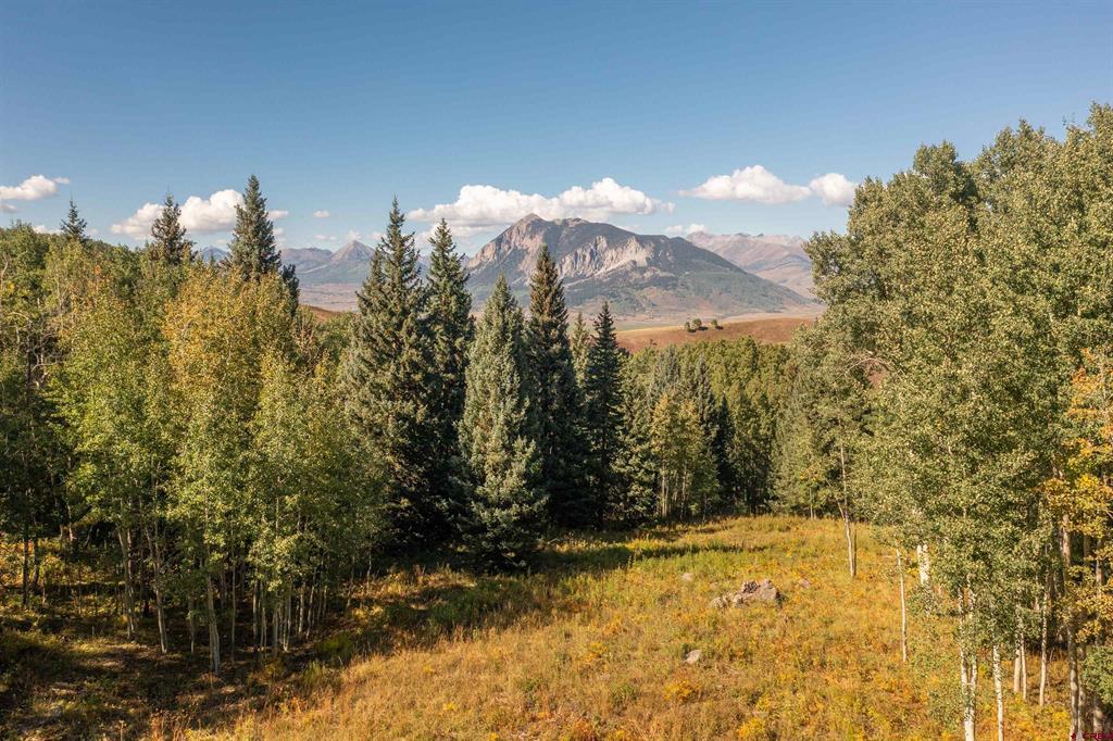 794 Red Mountain Ranch Lower Loop Property Photo 16