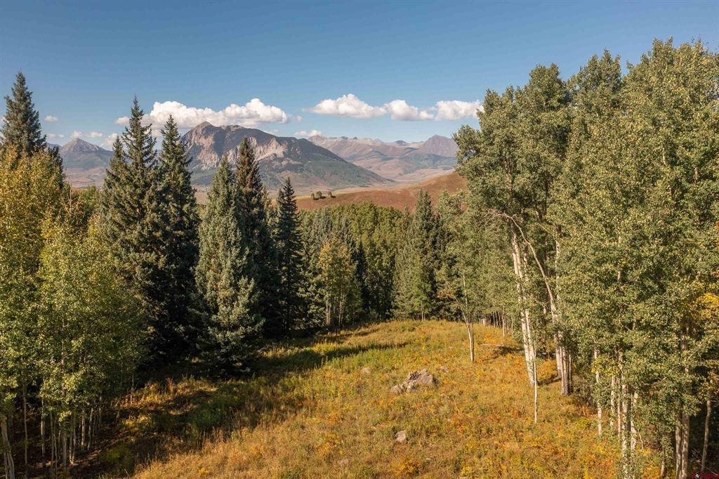 794 Red Mountain Ranch Lower Loop Property Photo 17