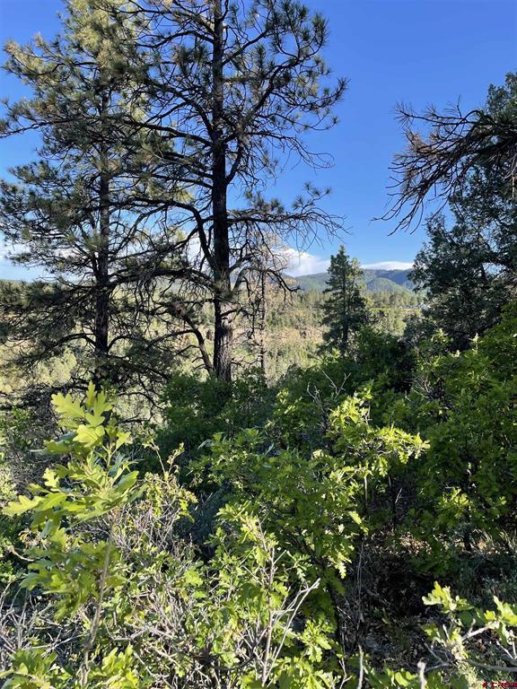 Xx W Hwy 160 Property Photo 6