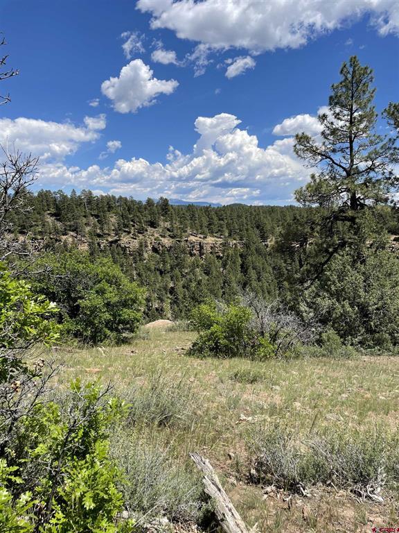 Xx W Hwy 160 Property Photo 15