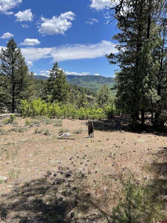 Xx W Hwy 160 Property Photo 20