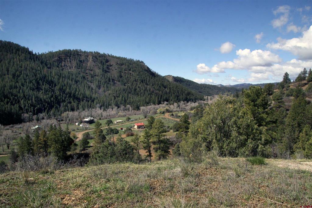 2519 County Rd 335 Property Photo 8