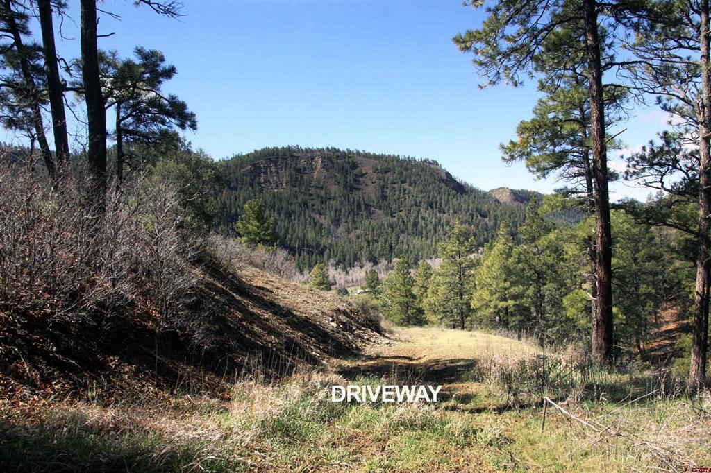 2519 County Rd 335 Property Photo 12