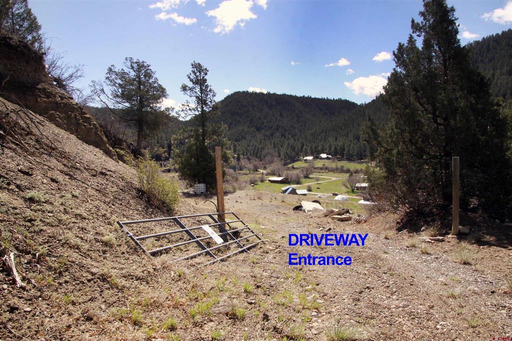 2519 County Rd 335 Property Photo 13