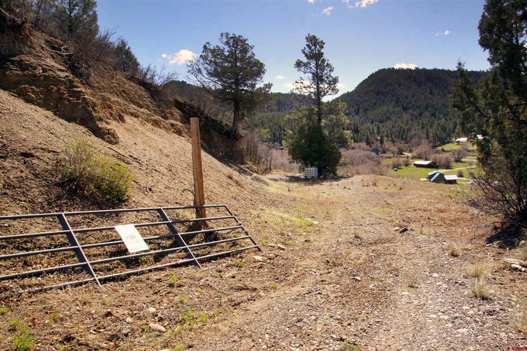 2519 County Rd 335 Property Photo 14