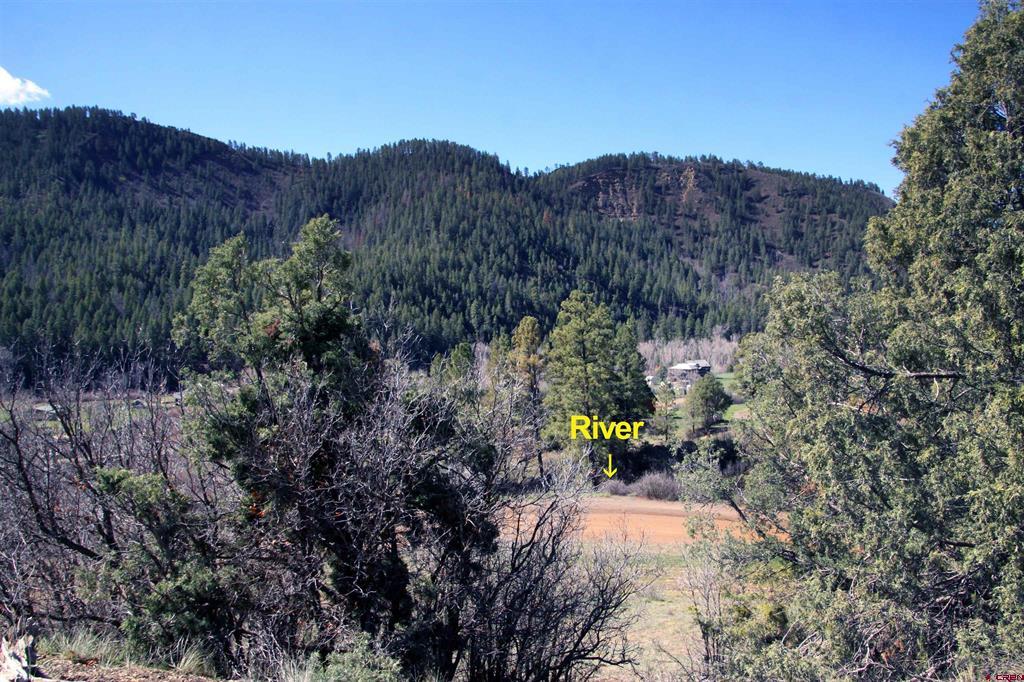 2519 County Rd 335 Property Photo 37