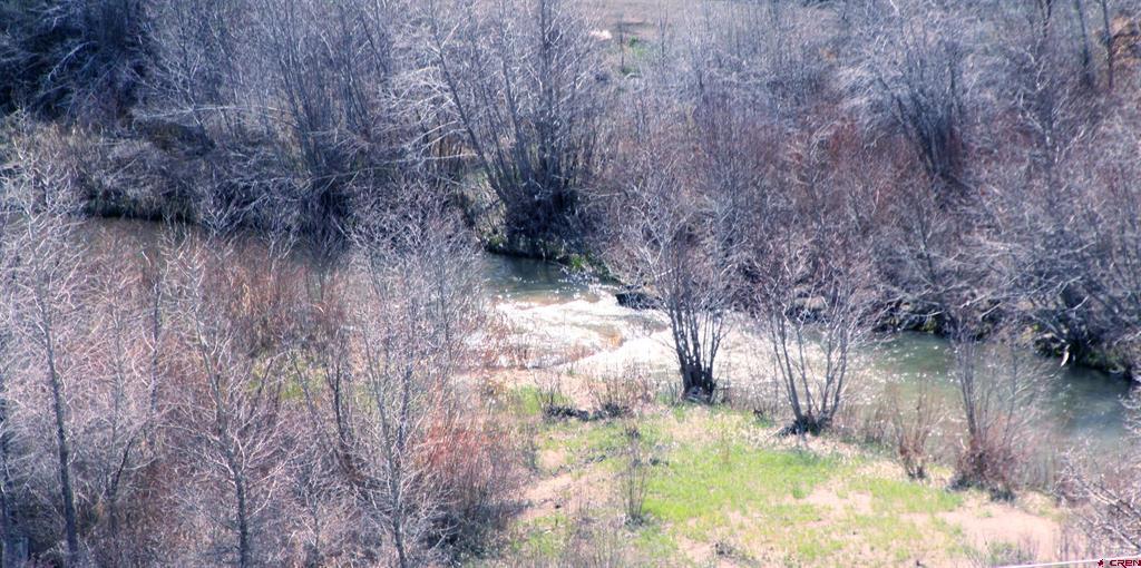 2519 County Rd 335 Property Photo 39