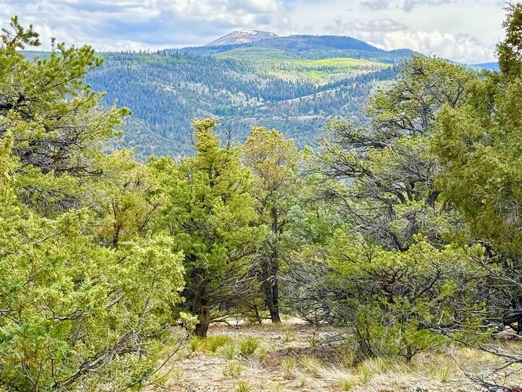 207 Wolf Creek Rd Property Photo 1