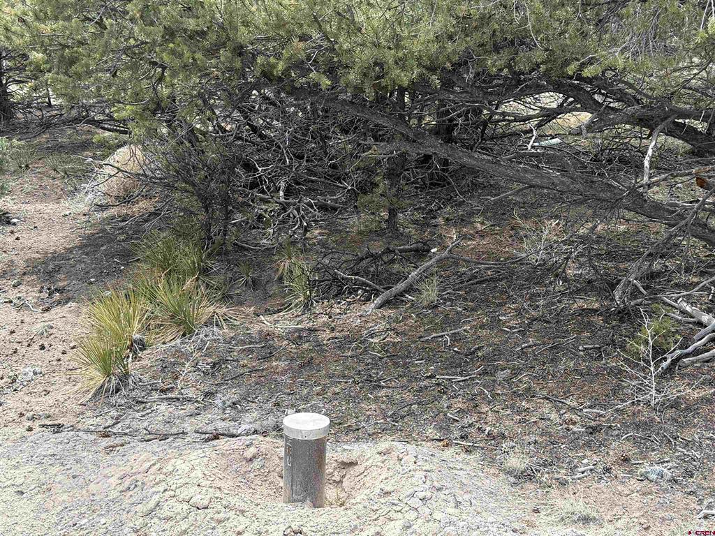 207 Wolf Creek Rd Property Photo 2