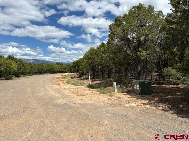Lot 4 Tower Road North Property Photo 4