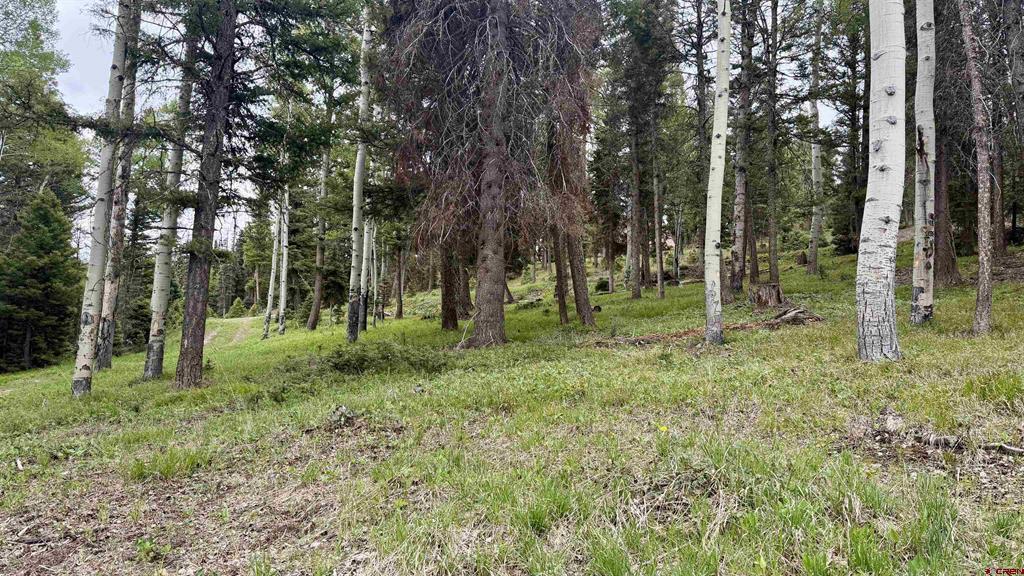 455 Ute Drive Property Photo 1