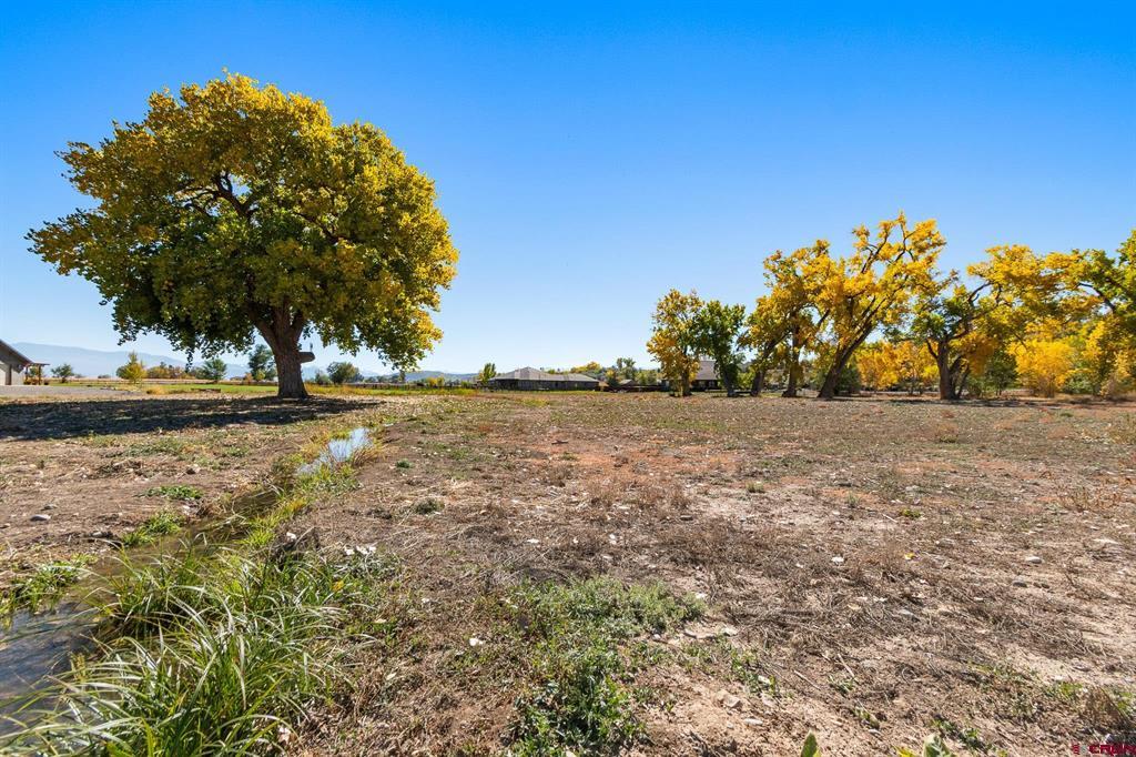 63242 Pearl Road Property Photo 6