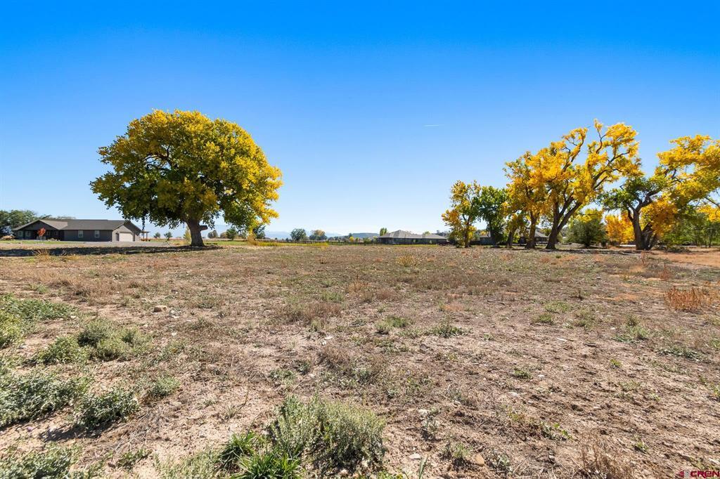 63242 Pearl Road Property Photo 7