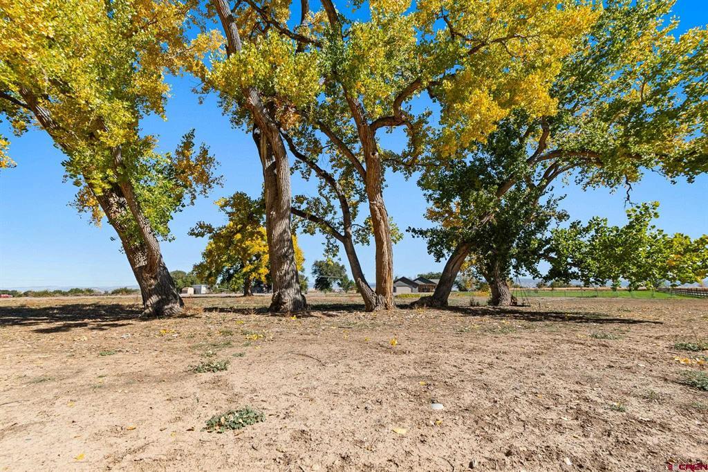 63242 Pearl Road Property Photo 8