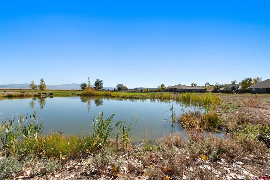63242 Pearl Road Property Photo 10