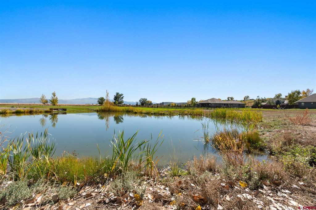 63242 Pearl Road Property Photo 11