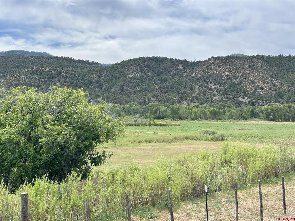X Usfs Rd 613 Property Photo 13