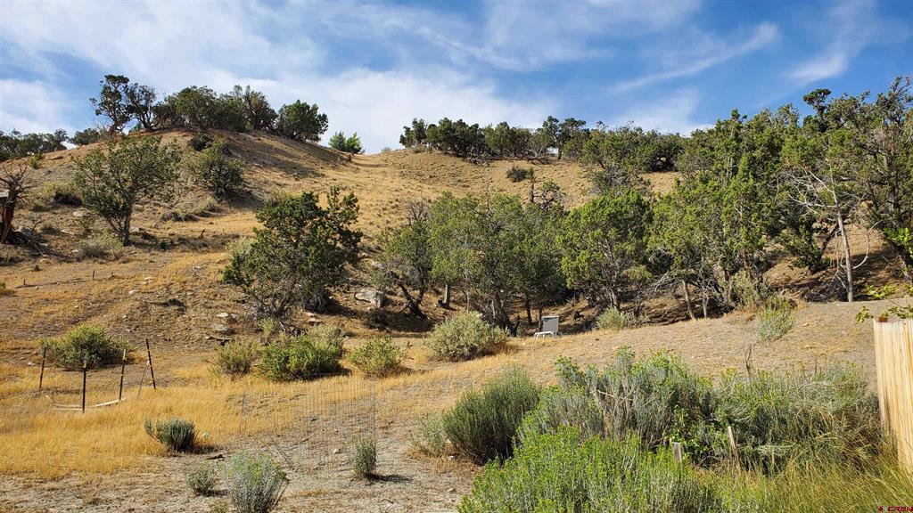 Lot 5 Ragged Mountain Drive Property Photo 5