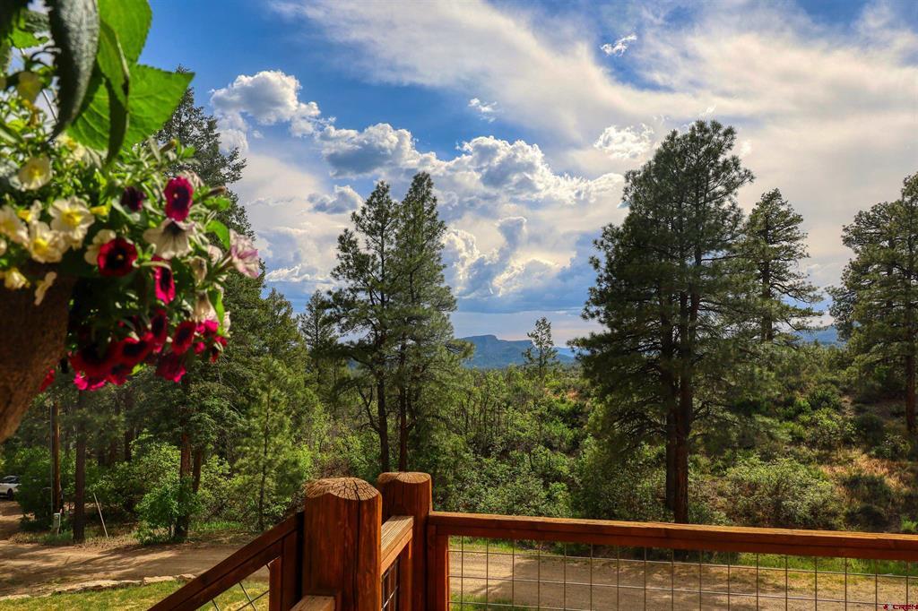 1083 Deer Trail Property Photo 3