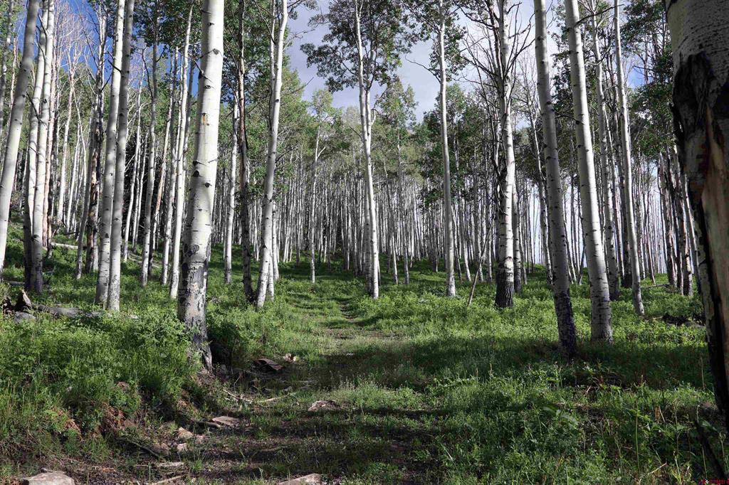 Tbd Ms Road Property Photo 4