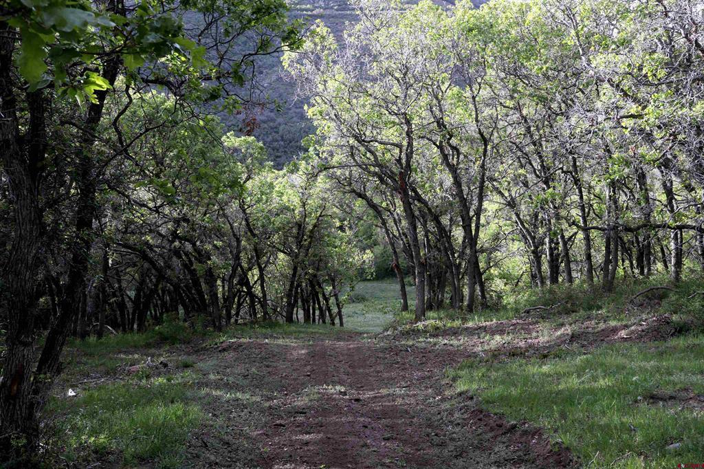 Tbd Ms Road Property Photo 7