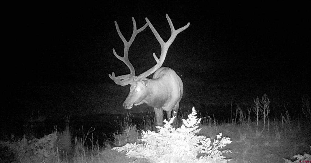 Tbd Ms Road Property Photo 15