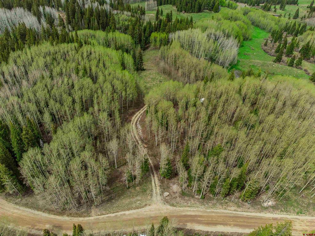 1250 Red Mountain Ranch Upper Loop Property Photo 4