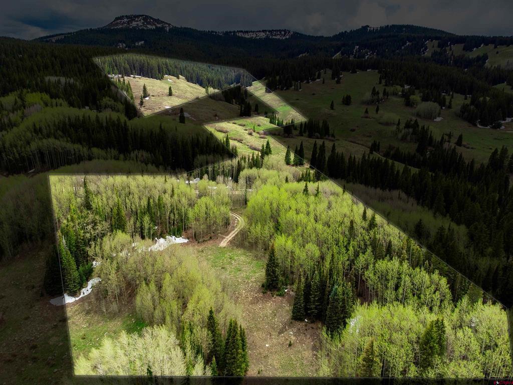 1250 Red Mountain Ranch Upper Loop Property Photo 6