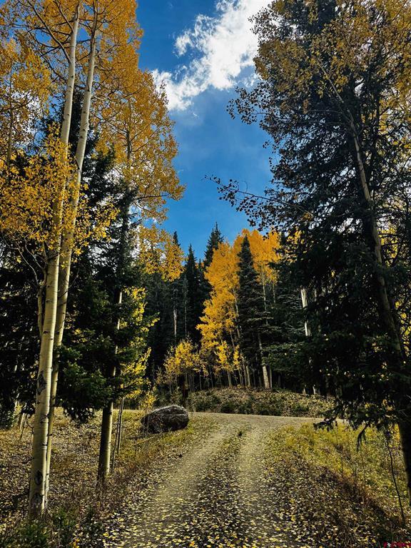 1250 Red Mountain Ranch Upper Loop Property Photo 10
