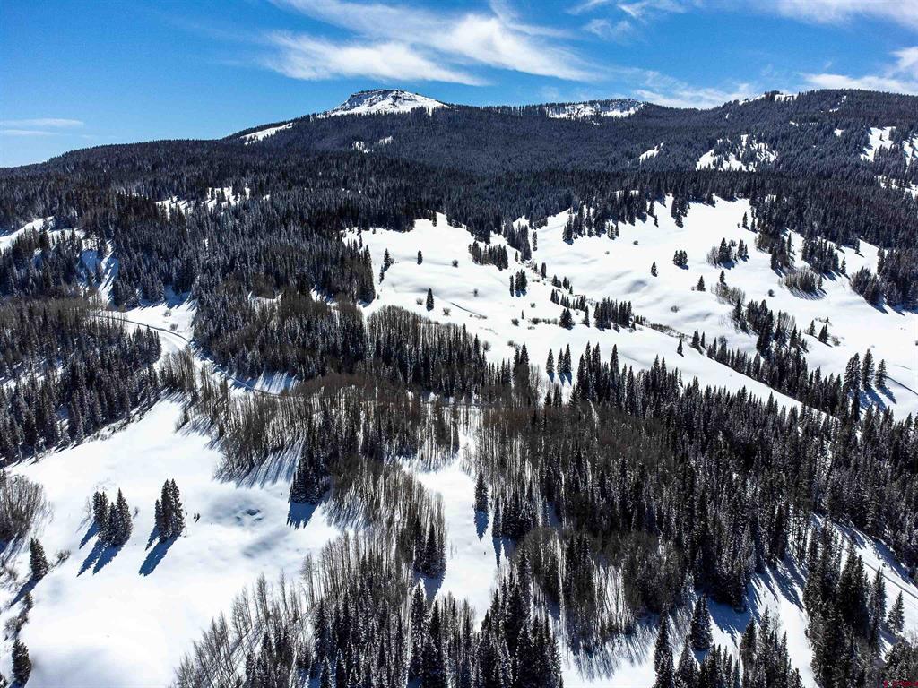 1250 Red Mountain Ranch Upper Loop Property Photo 11