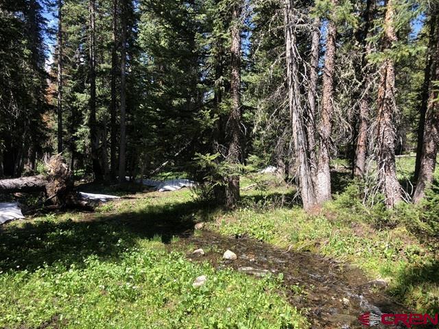 Tbd Ruby Silver Road Property Photo 1