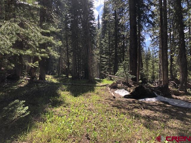 Tbd Ruby Silver Road Property Photo 4