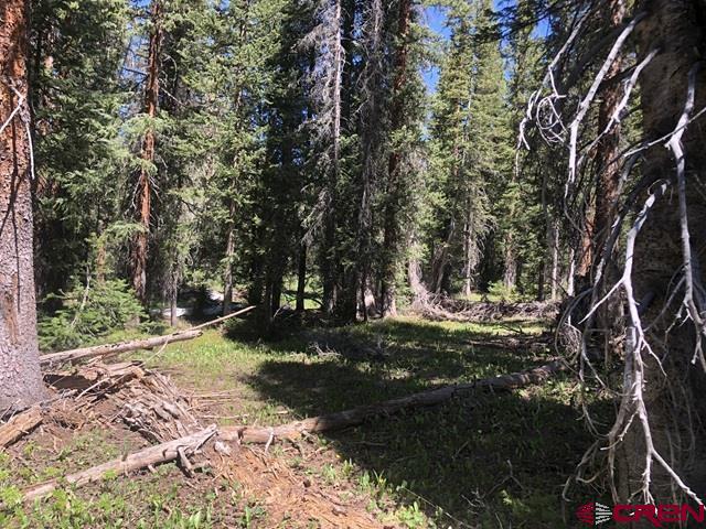 Tbd Ruby Silver Road Property Photo 6