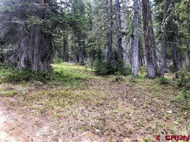 Tbd Ruby Silver Road Property Photo 8