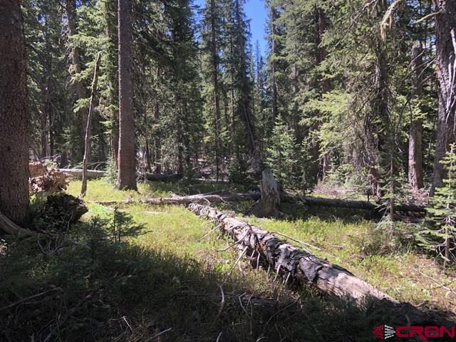 Tbd Ruby Silver Road Property Photo 9