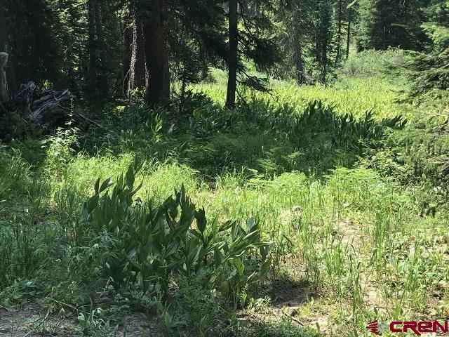 Tbd Ruby Silver Road Property Photo 11