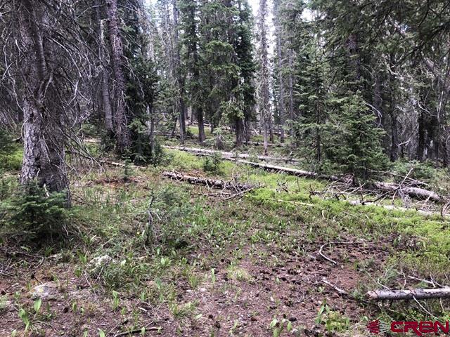 Tbd Ruby Silver Road Property Photo 15