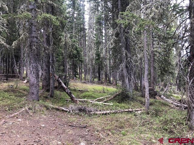 Tbd Ruby Silver Road Property Photo 16